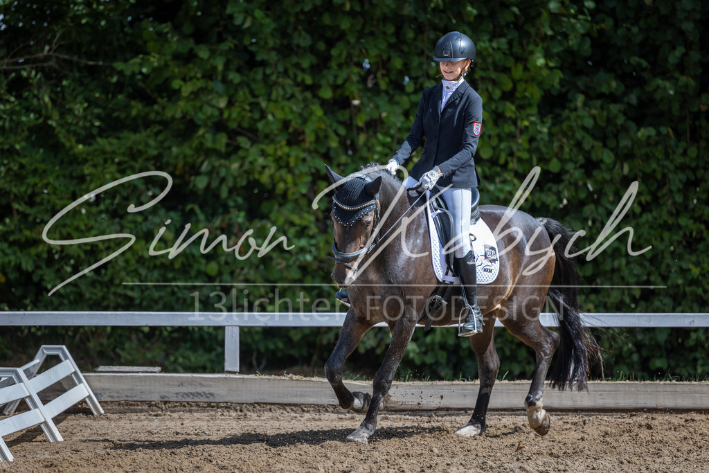 20260905-_3LI8302 | Tierfotografie Pferde, Hunde, Katzen, Haustiere.
Turnierfotografie Reitturniere, Reiten, Springreiten, Dressur in Hanau, dem Main-Kinzig-Kreis und dem Rhein-Main- Gebiet um Frankfurt