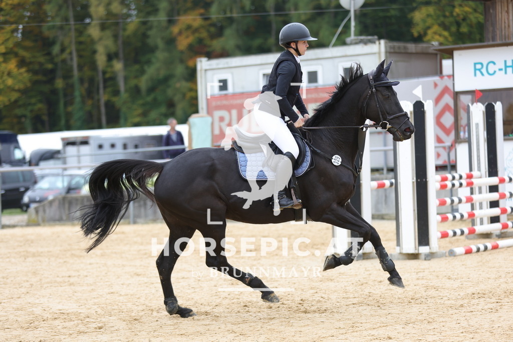 0P6A2868 | Willkommen bei Brunnmayr - Design & Fotografie – Ihrem Spezialisten für Reitturniere und Pferdeveranstaltungen in Oberösterreich, Salzburg und Bayern! Seit über 17 Jahren sind wir leidenschaftlich dabei.