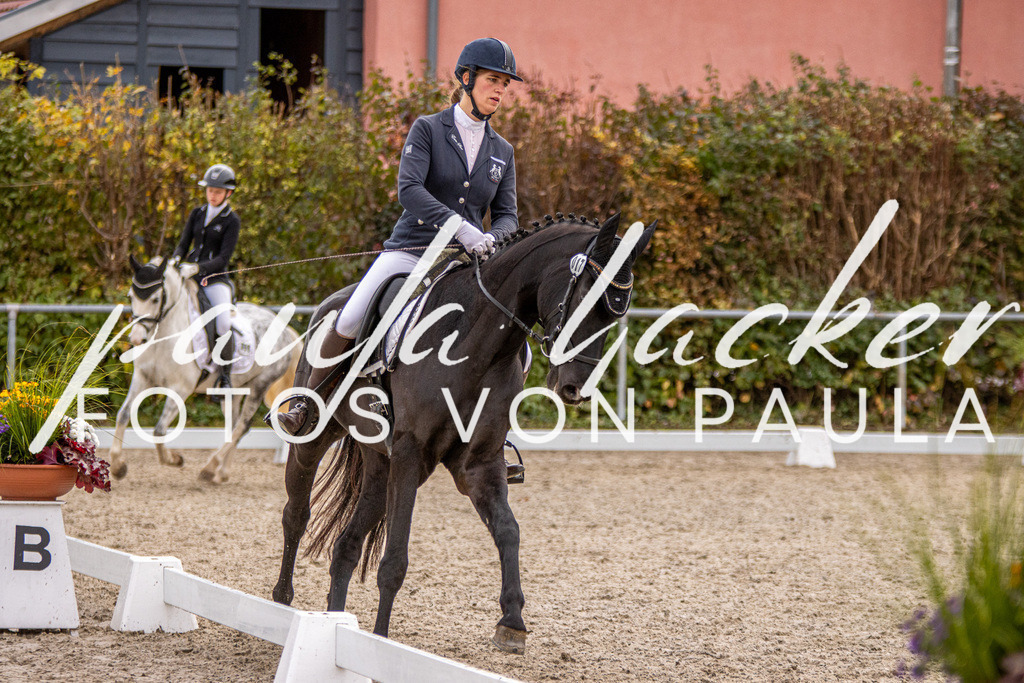 IMG_3003 | Erleben Sie dynamische Sport- und emotionale Tierfotografie in Süddeutschland mit Fotos von Paula. Spezialisiert auf Pferde- und Hundefotografie sowie Sportevents. Kontaktieren Sie mich für einzigartige und ausdrucksstarke Bilder Ihrer besonderen Momente. - Realisiert mit Pictrs.com