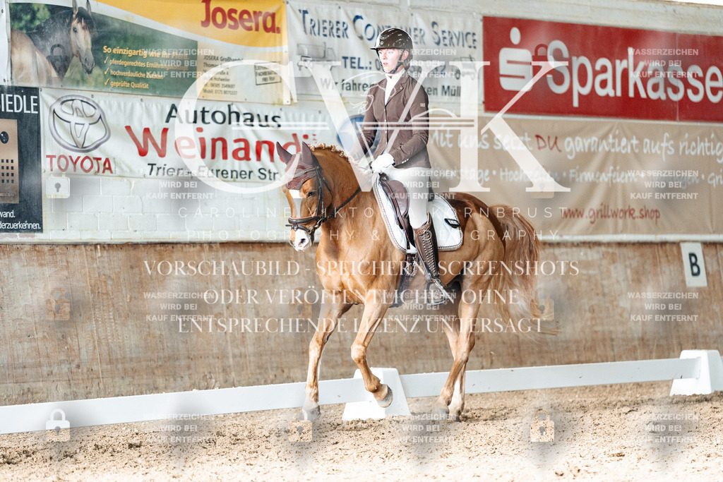 CK902955 | Turnierfotografie Pferdefotografie Trier Rheinland-Pfalz Pferdesport Reitsport Tierfotografie Sportfotografie Pferdevideo Pferdevideografie Equestrianvideography equestrianphotography  - Realisiert mit Pictrs.com