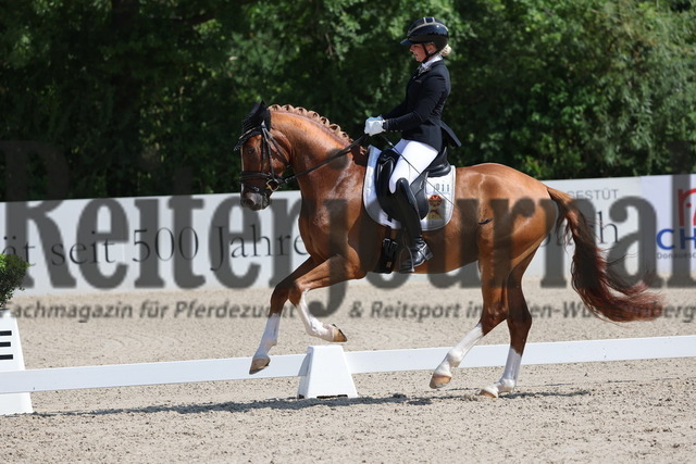 Weilheim_2025_Prfg.Nr.26_Pony-Reitpferdeprüfung_Michele Schulmerig_Next Dancer C (10) | Alle Fotos der Reiterjournal Fotografin Doris Matthaes im Reiterjournal Online-Fotoshop. - Realisiert mit Pictrs.com