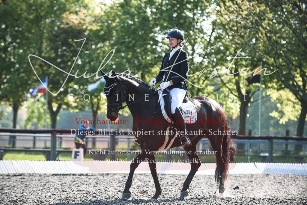 DSC_8363 | Pferde- und Turnierfotografie in Westsachsen. Pferdeportraits, Auftragszeichnungen und intuitive Kunst.