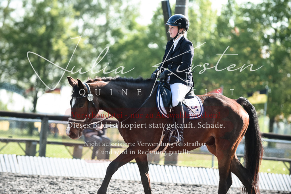 DSC_8312 | Pferde- und Turnierfotografie in Westsachsen. Pferdeportraits, Auftragszeichnungen und intuitive Kunst.