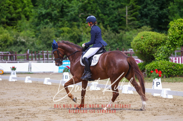 DKP46080 | Turniersportfotografie; Pferdefotografie; Dressurfotografie