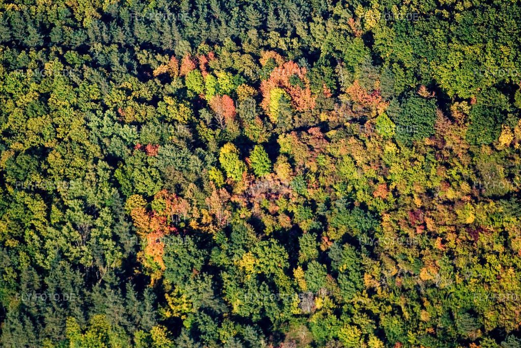 herbstlicher Wald | Luftbild: herbstlicher Wald in Waldhambach im Bundesland Rheinland-Pfalz in Deutschland. Foto: IMG_13678.jpg vom 28.09.2008 durch Werner Riehm/FLY-FOTO.de - Realisiert mit Pictrs.com