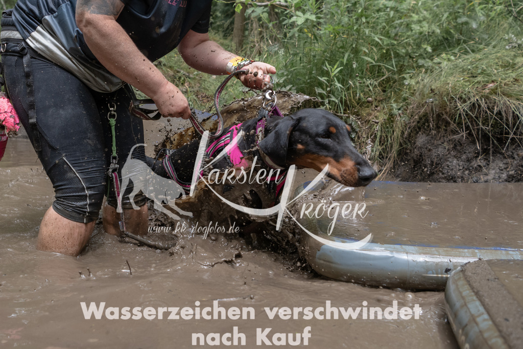 1328_ZZ94205 | kk-dogfotos