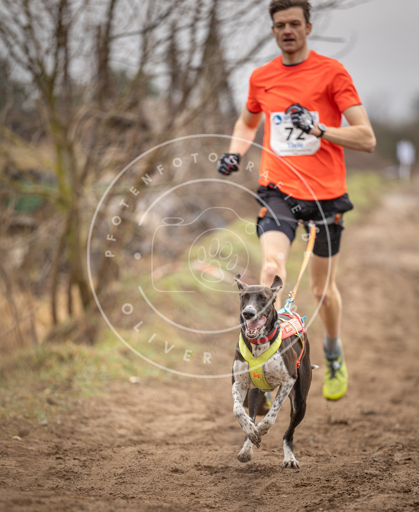 DV3A9668 | Hundefotografie, Tierfotograf, Pfotenfotografie, Fotoshooting Hund, Hunde Portrait, Hundesport, Hundeportraits, Heideshooting, Hunde, Sportfotograf, Hundefotograf, Turnierhundsport, THS,  - Realisiert mit Pictrs.com