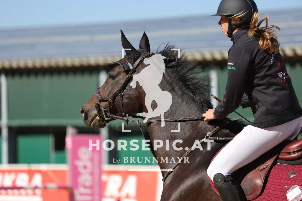 0P6A0302 | Willkommen bei Brunnmayr - Design & Fotografie – Ihrem Spezialisten für Reitturniere und Pferdeveranstaltungen in Oberösterreich, Salzburg und Bayern! Seit über 17 Jahren sind wir leidenschaftlich dabei.