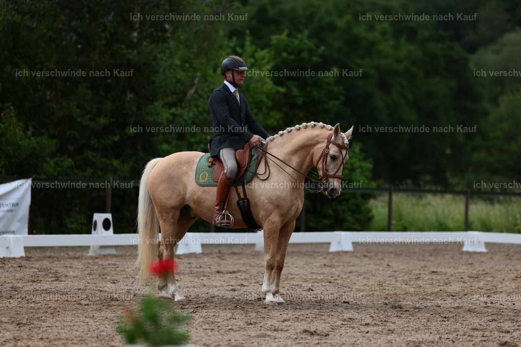 KlasseL_Stoibphotography_CAM21610.JPG | working equitationturnier fotograf videograf stoibphotography marixx film working equitation deutschland reitsport turnierfotografie eventfotografie equestrian events