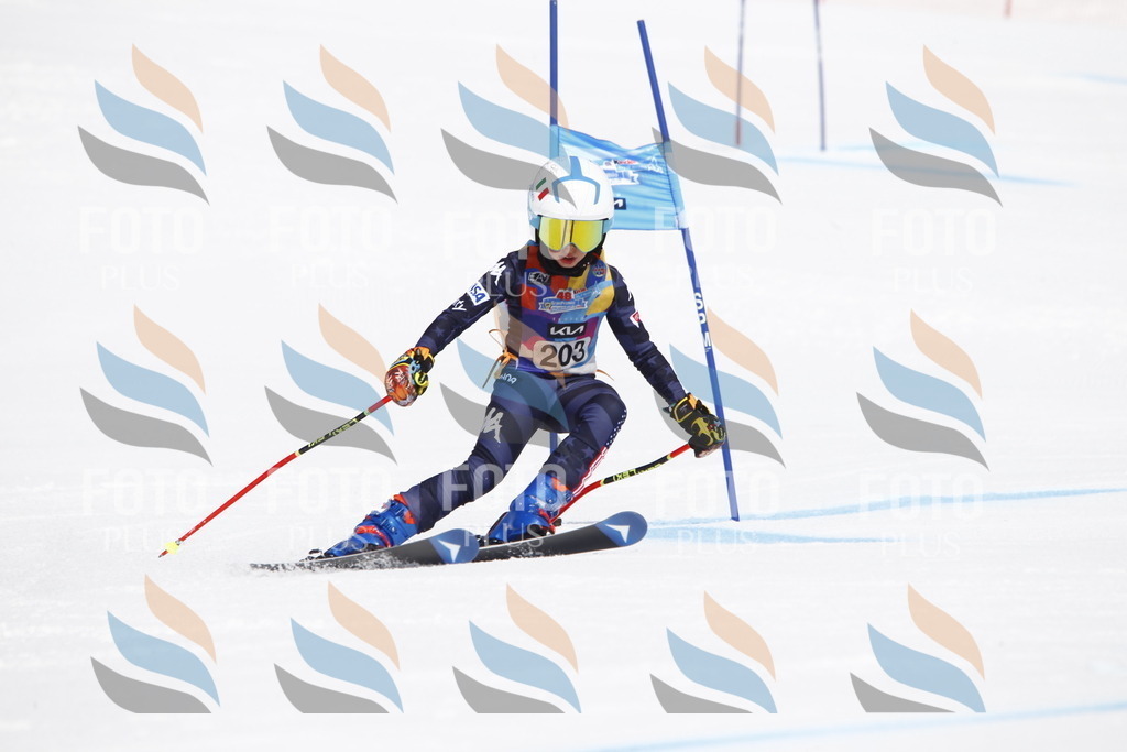 _U3G5273 | holidayphoto