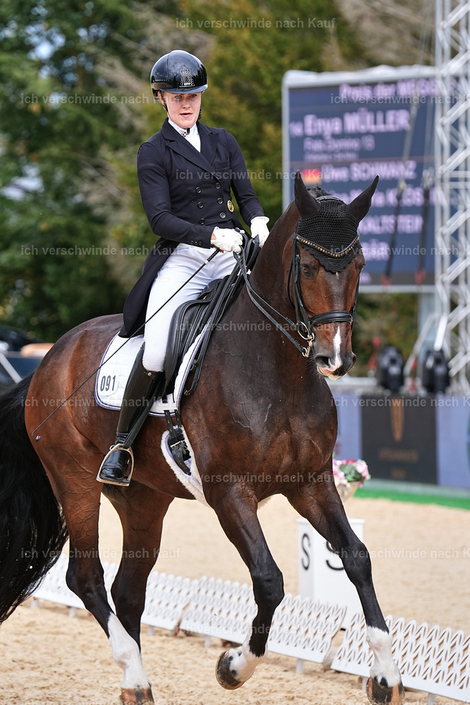 11-091-Dressur S___-Marixx-1640 | working equitationturnier fotograf videograf stoibphotography marixx film working equitation deutschland reitsport turnierfotografie eventfotografie equestrian events