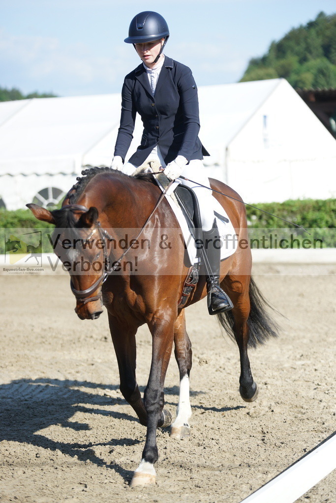 DSC04075 | equestrian-live-com