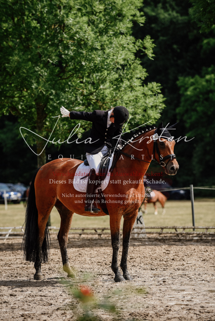 DSC_9803 | Pferde- und Turnierfotografie in Westsachsen. Pferdeportraits, Auftragszeichnungen und intuitive Kunst.