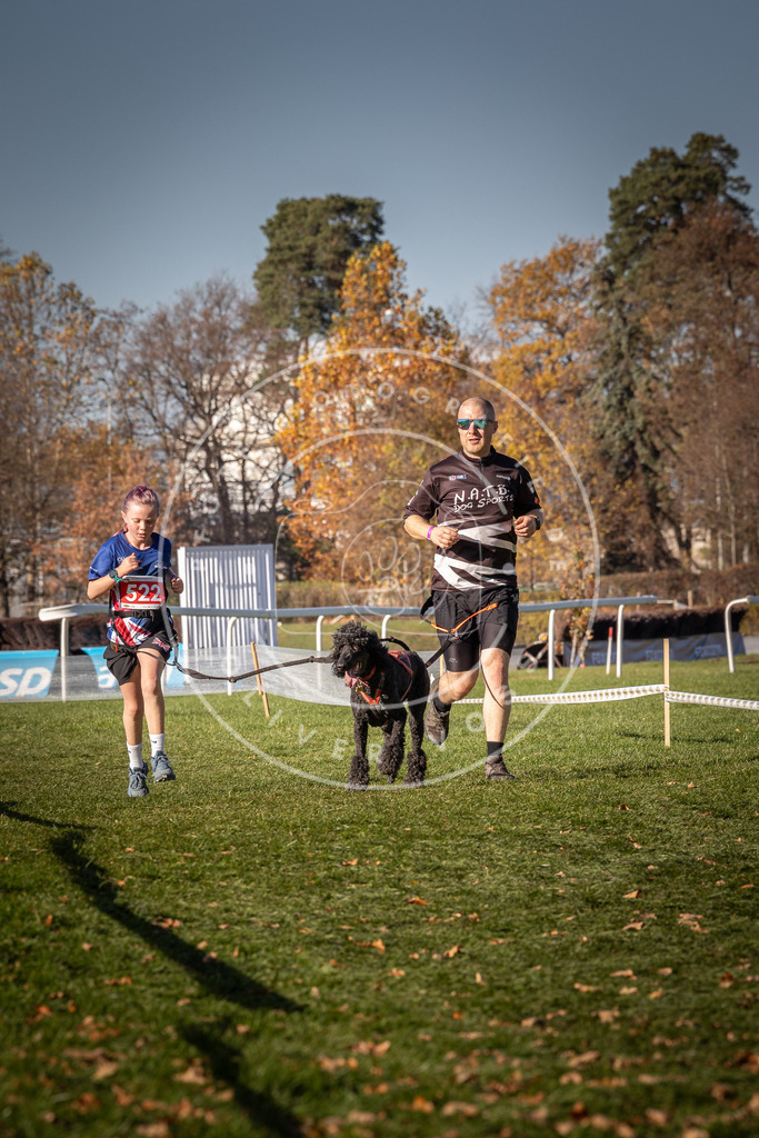 CaniXpix_0L8A7167 | Hundefotografie, Tierfotograf, Pfotenfotografie, Fotoshooting Hund, Hunde Portrait, Hundesport, Hundeportraits, Heideshooting, Hunde, Sportfotograf, Hundefotograf, Turnierhundsport, THS,  - Realisiert mit Pictrs.com