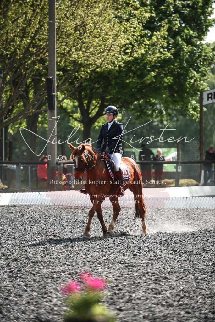 DSC_9019 | Pferde- und Turnierfotografie in Westsachsen. Pferdeportraits, Auftragszeichnungen und intuitive Kunst.