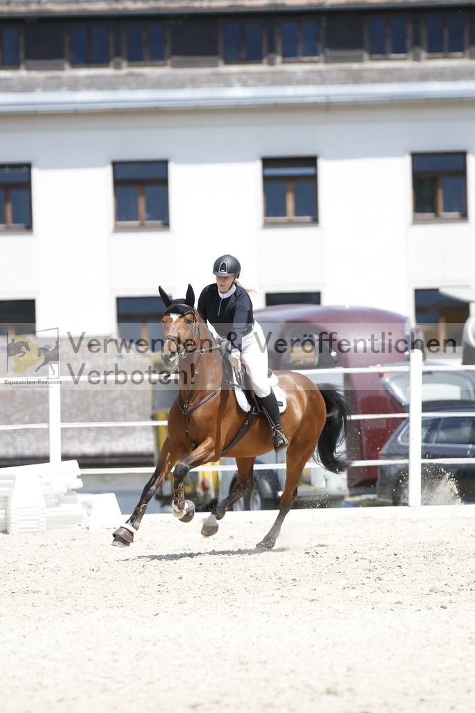 _MG_4687 | equestrian-live-com