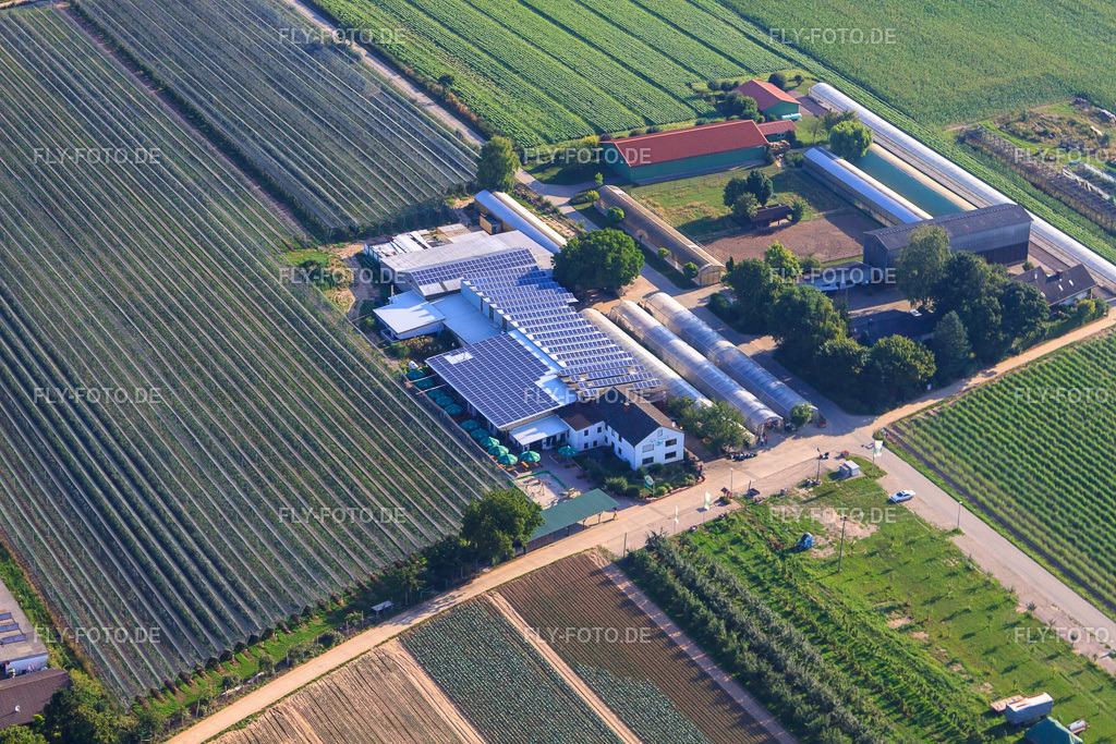 Obsthof Zapf und Hofcafé und Uwe Nauerth - Tabak Produktion im Holderbühler Hof und https://obsthof-zapf.de/ | Luftbild: Obsthof Zapf und Hofcafé und Uwe Nauerth - Tabak Produktion im Holderbühler Hof und https://obsthof-zapf.de/ in Kandel im Bundesland Rheinland-Pfalz in Deutschland. Foto: IMG_70342.jpg vom 19.07.2014 durch Werner Riehm/FLY-FOTO.de - Realisiert mit Pictrs.com