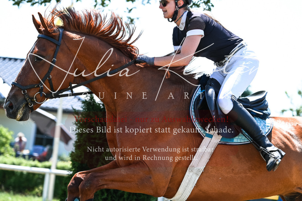 DSC_0488 | Pferde- und Turnierfotografie in Westsachsen. Pferdeportraits, Auftragszeichnungen und intuitive Kunst.