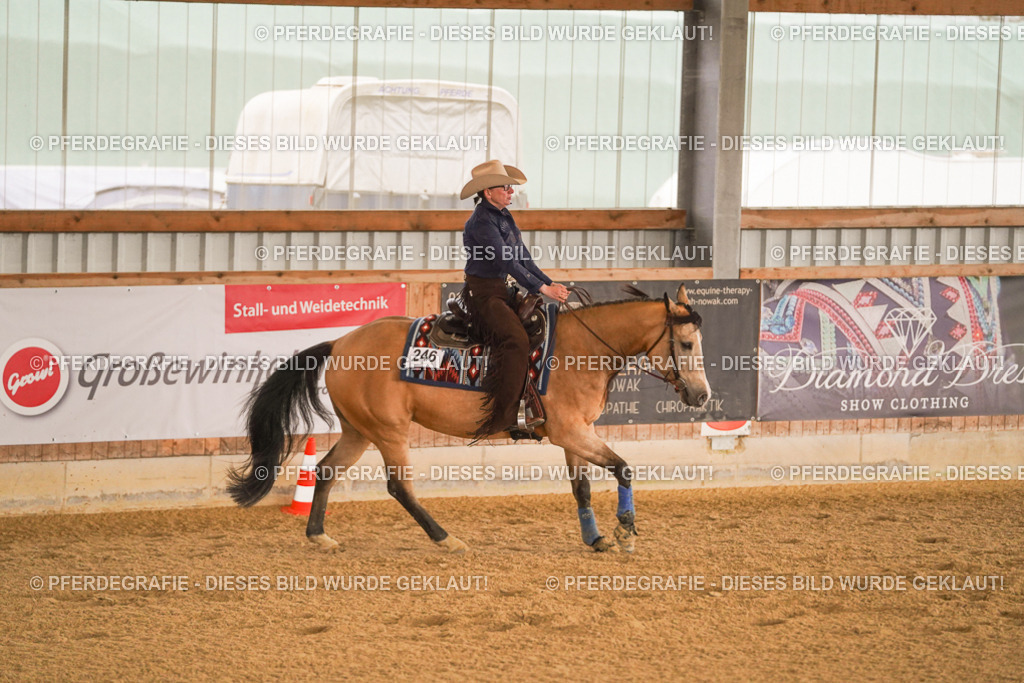 DSC09603 | Pferdegrafie