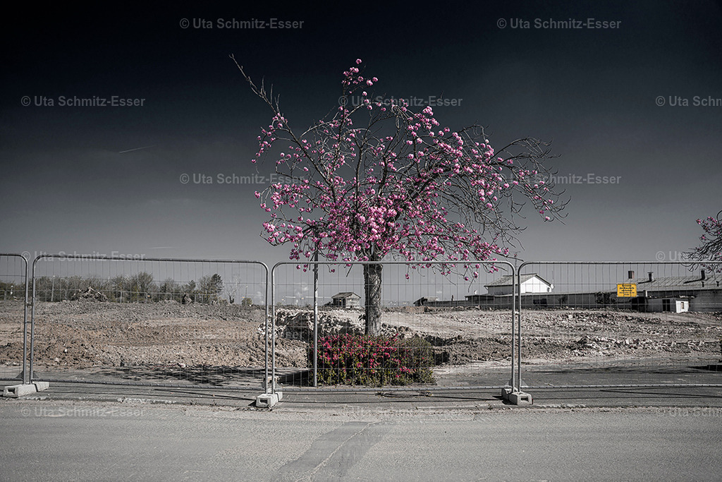 Manheim_21_05 | CEUS Design - Realisiert mit Pictrs.com