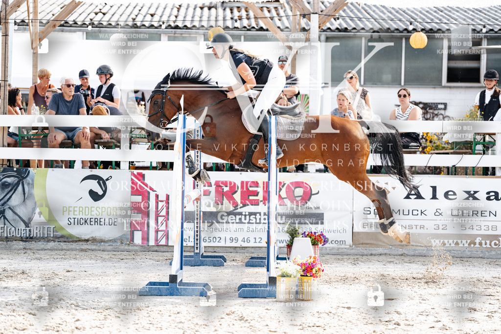 CK906108 | Turnierfotografie Pferdefotografie Trier Rheinland-Pfalz Pferdesport Reitsport Tierfotografie Sportfotografie Pferdevideo Pferdevideografie Equestrianvideography equestrianphotography  - Realisiert mit Pictrs.com