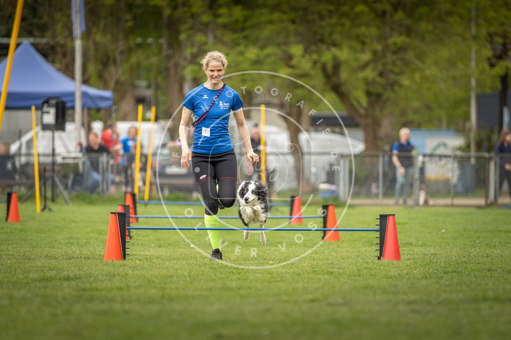Pfotenfotografie_DV3A8183 | Hundefotografie, Tierfotograf, Pfotenfotografie, Fotoshooting Hund, Hunde Portrait, Hundesport, Hundeportraits, Heideshooting, Hunde, Sportfotograf, Hundefotograf, Turnierhundsport, THS,  - Realisiert mit Pictrs.com
