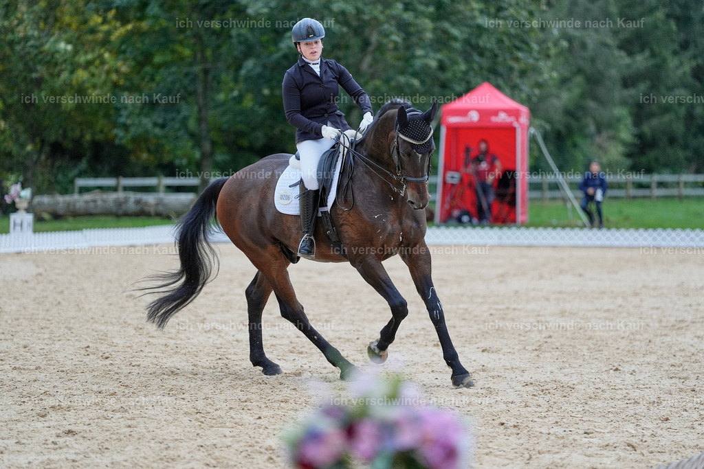 04_2-206-Dressur M__ -StoibPH-2928 | working equitationturnier fotograf videograf stoibphotography marixx film working equitation deutschland reitsport turnierfotografie eventfotografie equestrian events
