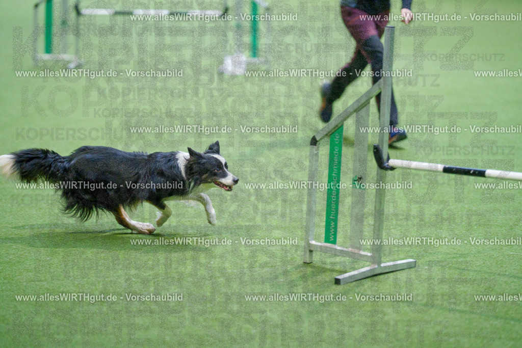 @allesWIRTHgut_Tierfotografie - www.allesWIRTHgut.de - 2604250817-7R506099 | Professionelle Tierfotografie in Mönchengladbach von Daniel Wirth (allesWIRTHgut). Liebevolle & natürliche Bilder von Hunden & Katzen für unvergessliche Erinnerungen.