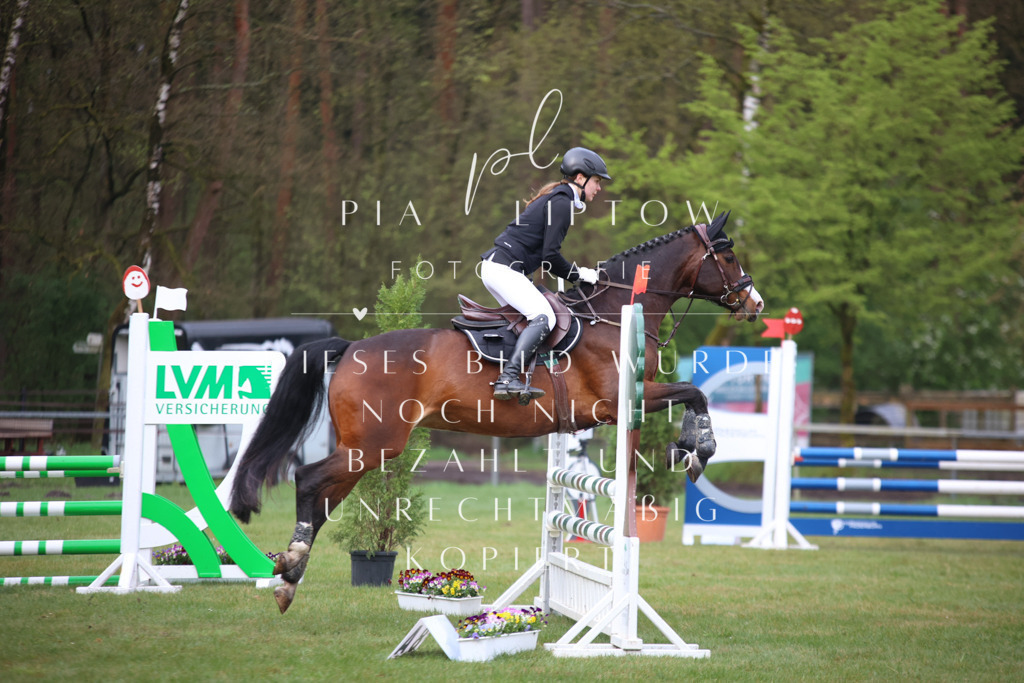 IMGT2723 | pl-fotografie