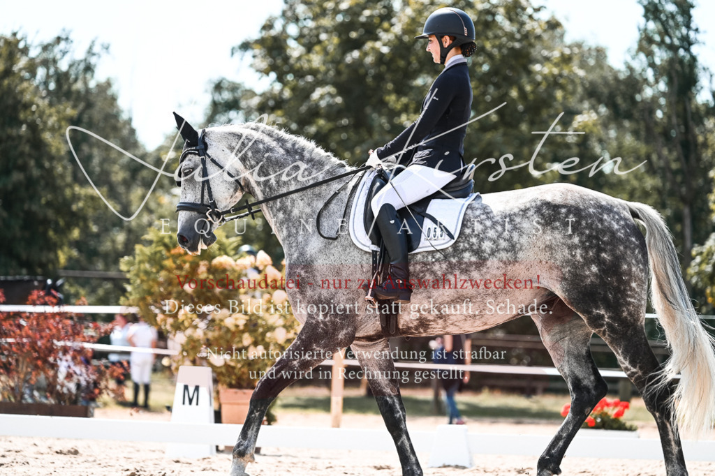 DSC_5577 | Pferde- und Turnierfotografie in Westsachsen. Pferdeportraits, Auftragszeichnungen und intuitive Kunst.