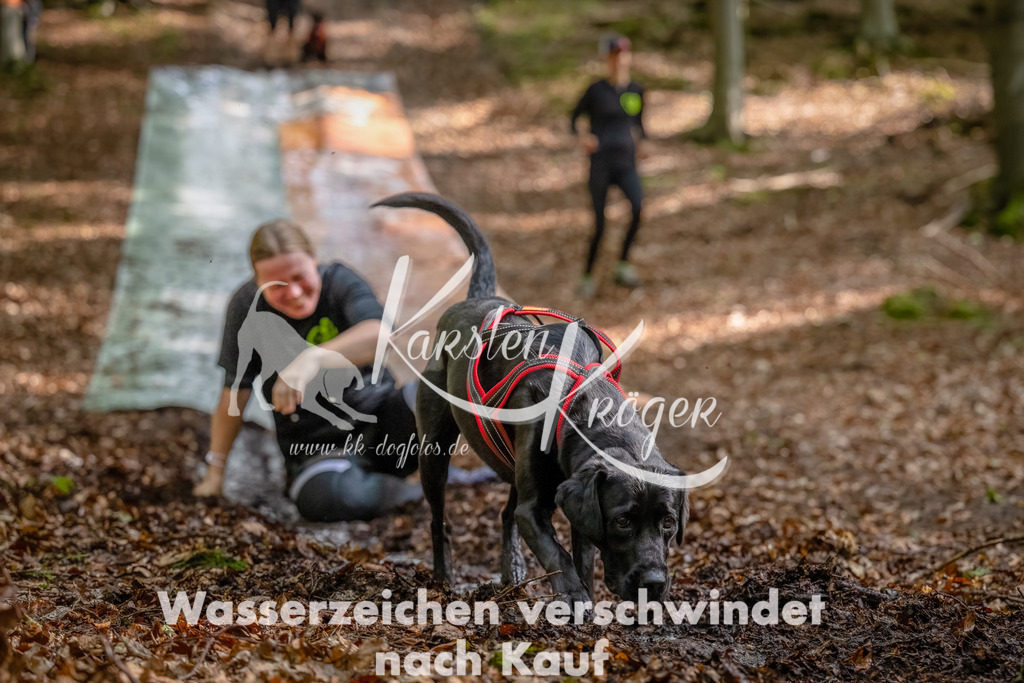 1143_ZZ92306-Bearbeitet | kk-dogfotos