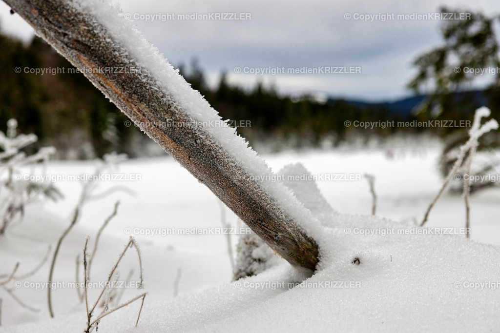 _J3A6733 | medienkrizzler - Realisiert mit Pictrs.com