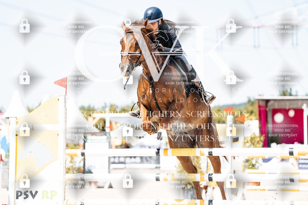 CK909882 | Turnierfotografie Pferdefotografie Trier Rheinland-Pfalz Pferdesport Reitsport Tierfotografie Sportfotografie Pferdevideo Pferdevideografie Equestrianvideography equestrianphotography  - Realisiert mit Pictrs.com