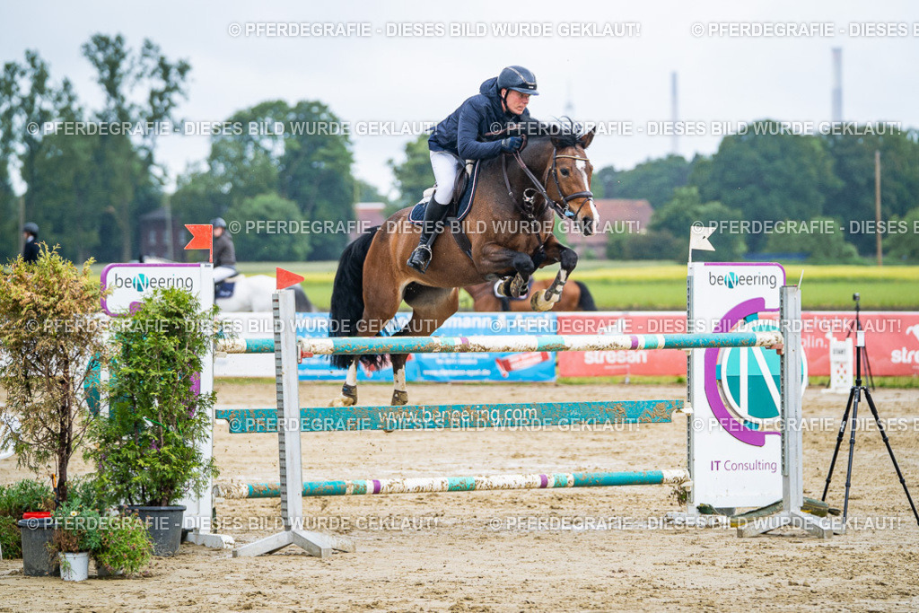 DSC03815 | Pferdegrafie