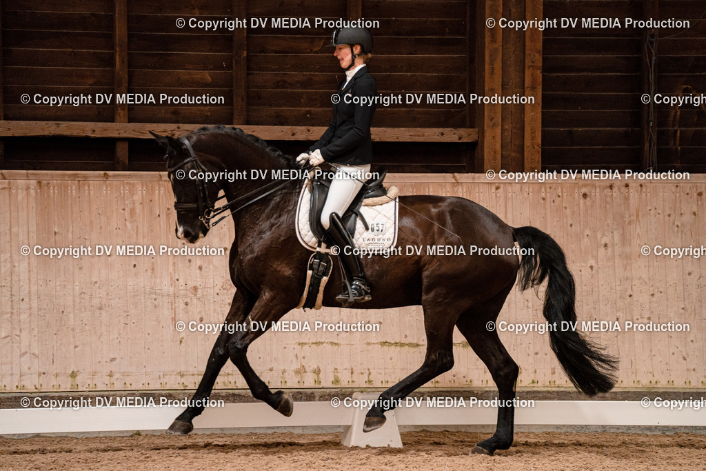 Dressur Tag 1 -248 | dv-media-shop - Realisiert mit Pictrs.com