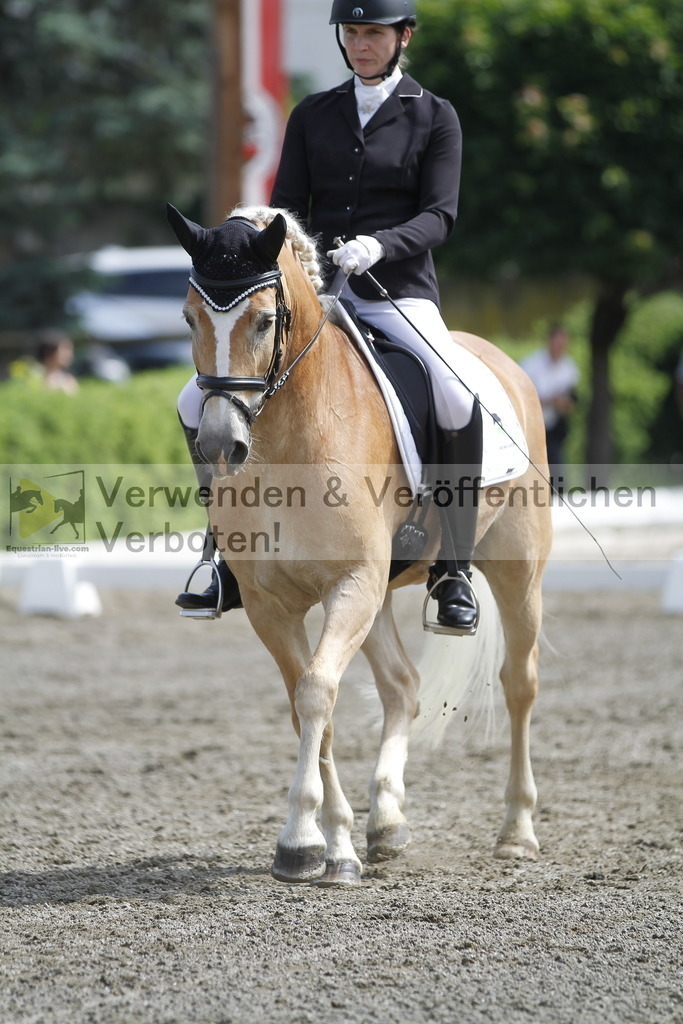 _MG_9754 | equestrian-live-com