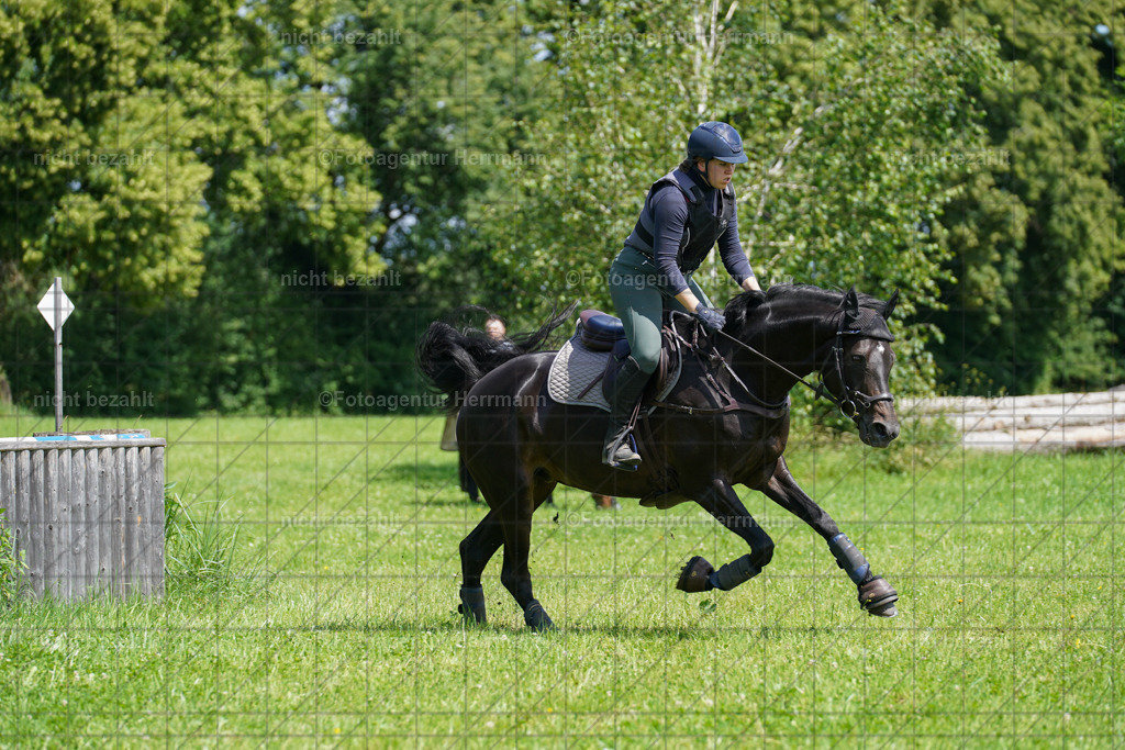 20240622-FAH06823 | Turnierfotografen Bayern, Reitsportbilder aus dem Geländekurs mit Felix Etzel auf dem Gut Waitzacker 2024