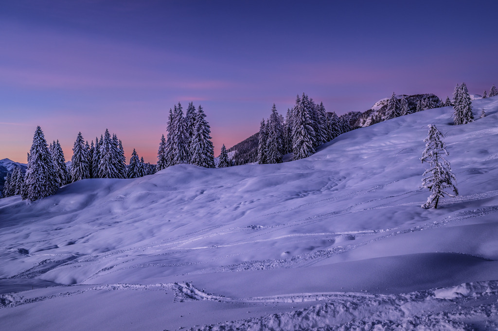 RRF_1761-Bearbeitet-Bearbeitet | Fotografie die berührt. - Realisiert mit Pictrs.com