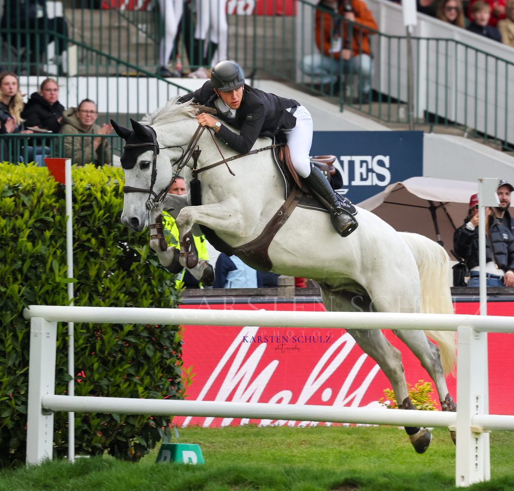 1B3A4617 | Reitsport Reiten