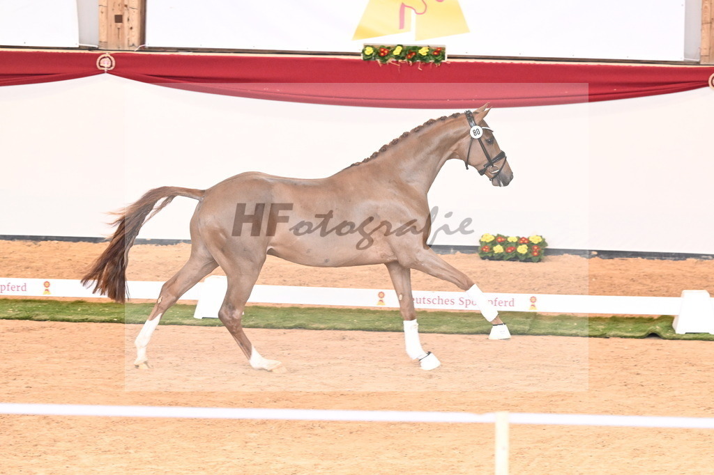 Kat.-Nr. 80 v. Vivino_Schepergerdes_2241083 | hf-fotografie - Realizzato con Pictrs.com