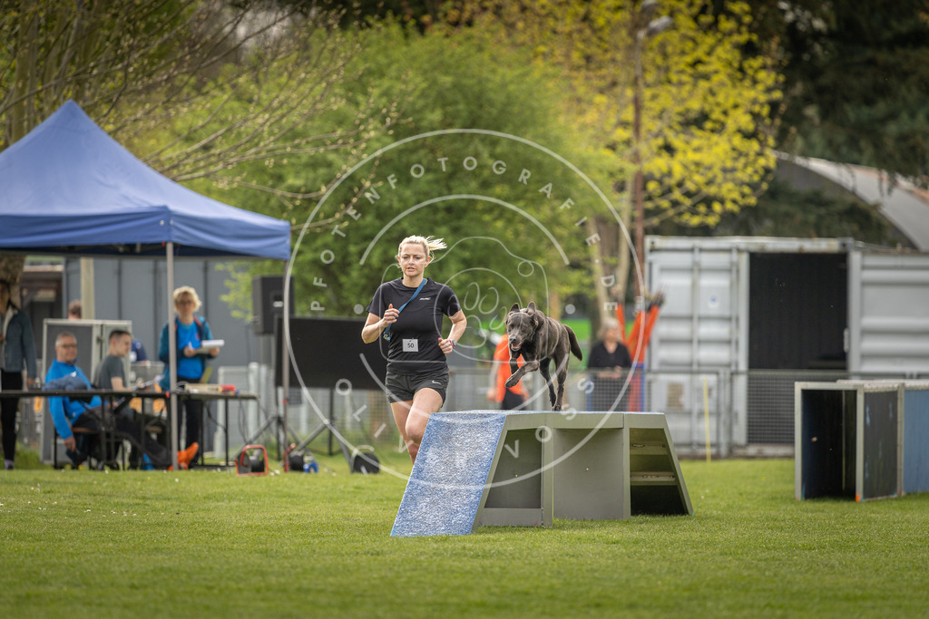 Pfotenfotografie_DV3A6742 | Hundefotografie, Tierfotograf, Pfotenfotografie, Fotoshooting Hund, Hunde Portrait, Hundesport, Hundeportraits, Heideshooting, Hunde, Sportfotograf, Hundefotograf, Turnierhundsport, THS,  - Realisiert mit Pictrs.com