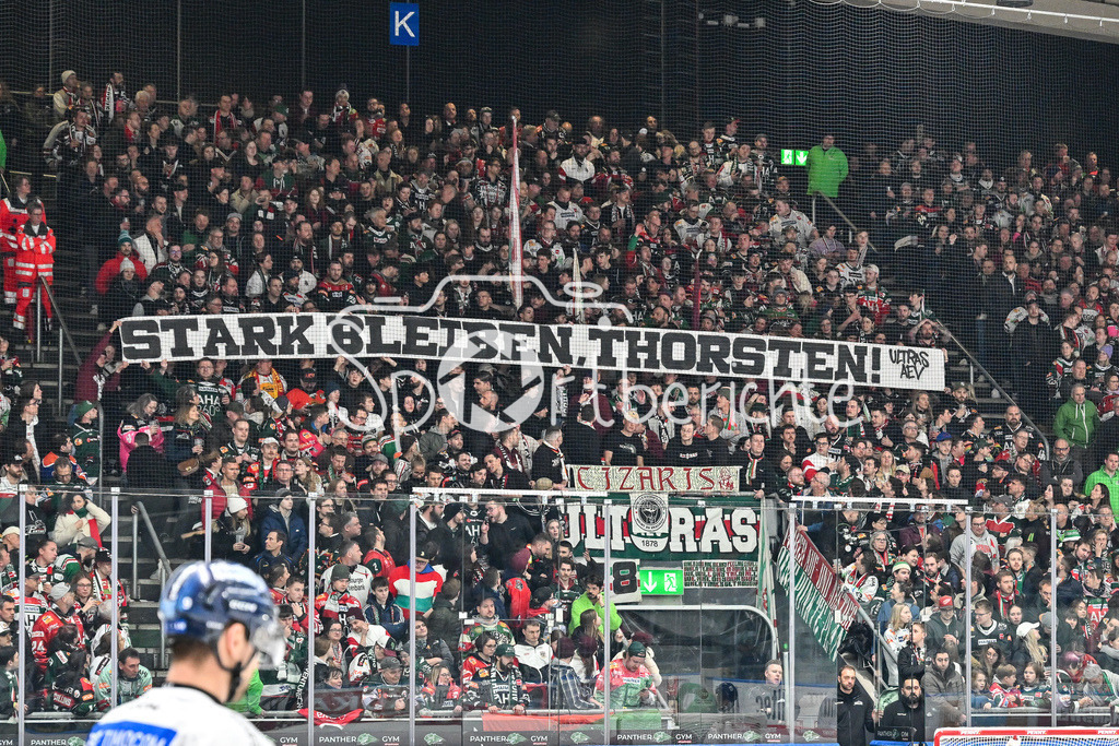 Augsburger Panther - Düsseldorfer EG | Spurchband Thorsten / DEL: Augsburger Panther - Duesseldorfer EG, Curt Frenzel Stadion am 04.03.2025