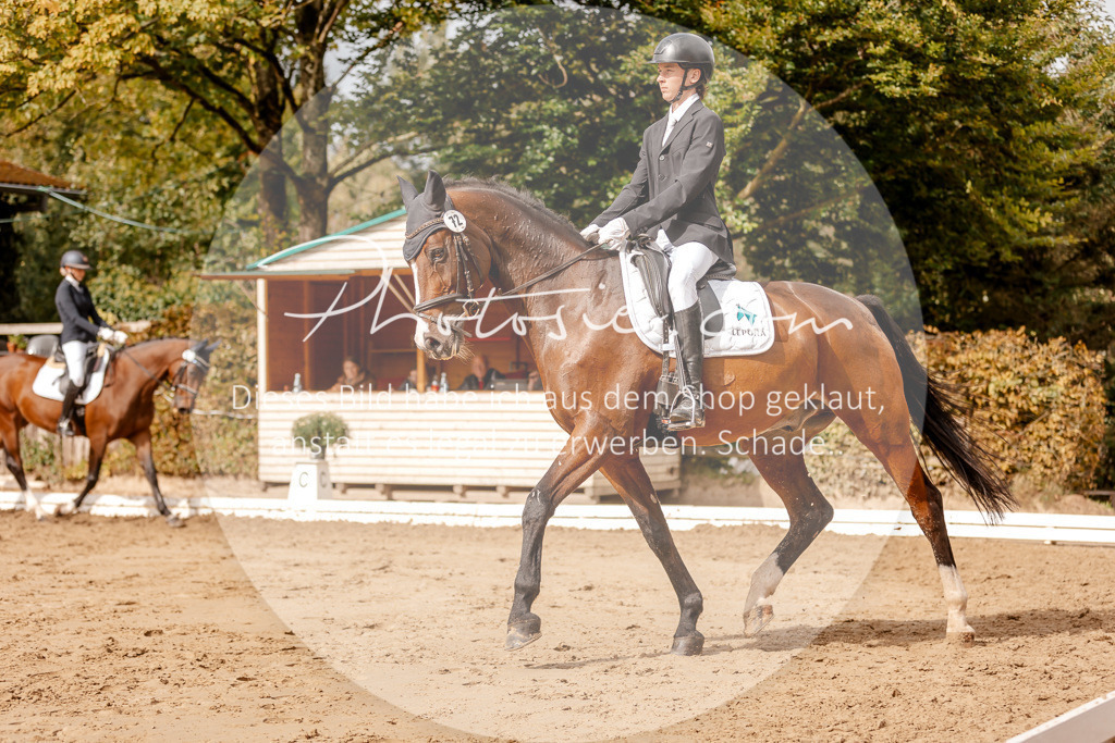 3I6A7141 | Stimmungsvolle Portraits und Reitsportfotografie im Ruhrgebiet und im Münsterland.

Pferdefotografie, Hundefotografie, Tierfotografie, Reportagen, Portraits von Tier und Mensch, Turnierfotografie in Bochum, Recklinghausen, Marl, Haltern am See, Dülmen.. - Realisiert mit Pictrs.com