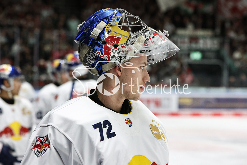 Augsburger Panther - EHC RB München | Daniel ALLVENA (RBM #72) in Aktion / Freisteller / Einzelfoto