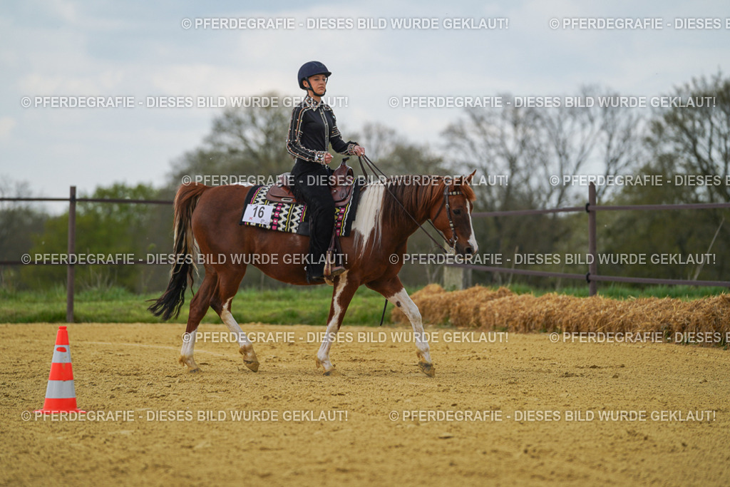 DSC06257 | Pferdegrafie