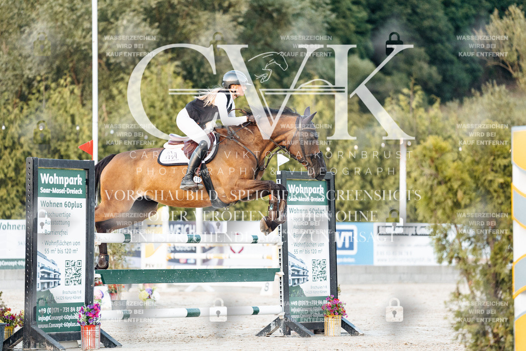 CK901448 | Turnierfotografie Pferdefotografie Trier Rheinland-Pfalz Pferdesport Reitsport Tierfotografie Sportfotografie Pferdevideo Pferdevideografie Equestrianvideography equestrianphotography  - Realisiert mit Pictrs.com