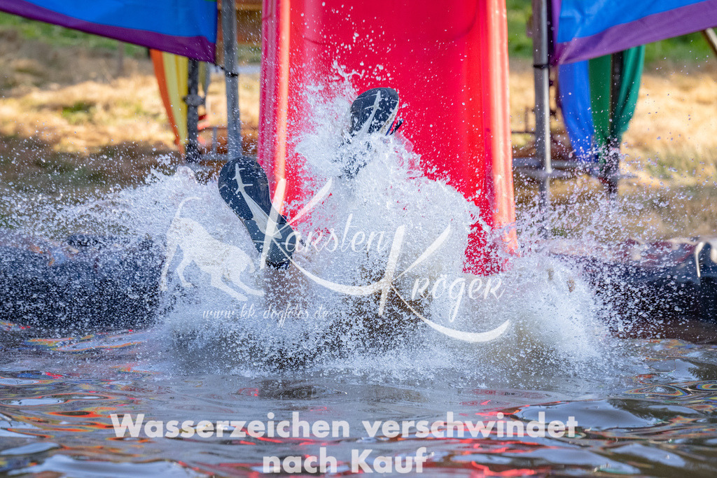 1805_ZZ90436 | kk-dogfotos