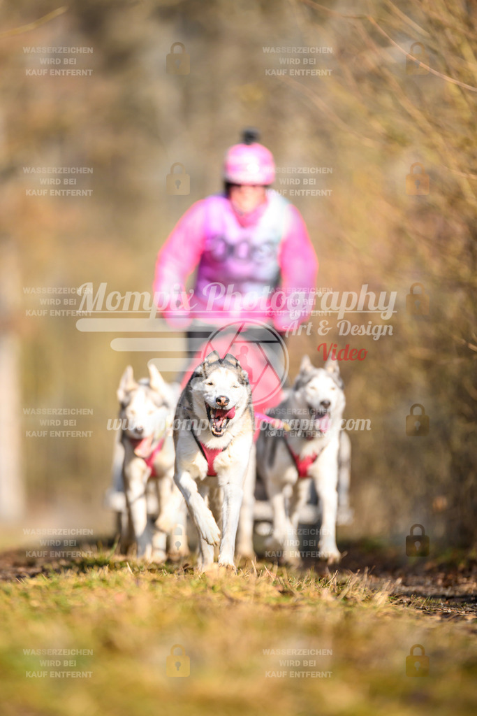 MompixPhotography_Schwabentrail2025_SO_Kart-14 | PayLife