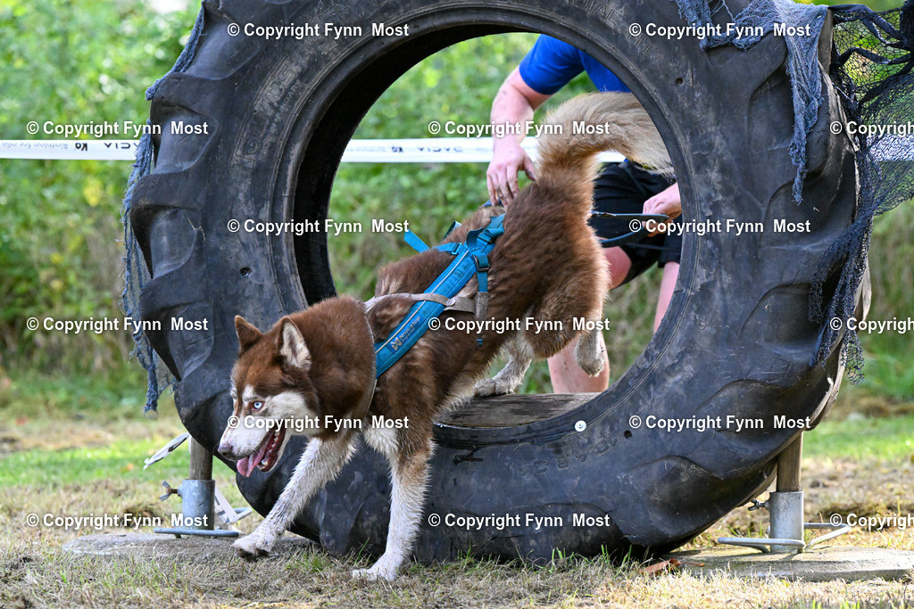 DSC_1437 | Hallo und herzlich Willkommen auf meiner Shop-Seite Fynn Most.

Ich wünsche Dir viel Spaß beim stöbern durch die Bilder, wenn Du Fragen hast oder Bilder vermisst, kannst du mir gerne eine Nachricht schreiben. - Realisiert mit Pictrs.com