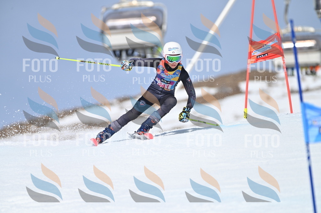 BGV_3459 | holidayphoto